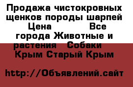 Продажа чистокровных щенков породы шарпей › Цена ­ 8 000 - Все города Животные и растения » Собаки   . Крым,Старый Крым